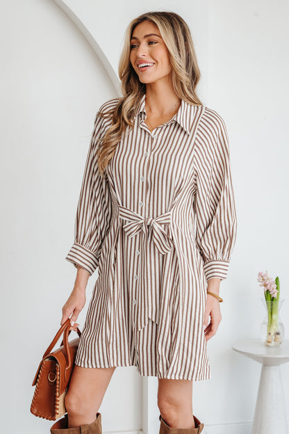 Neutral Taupe Striped Button Front Shirt Dress with Waist Tie