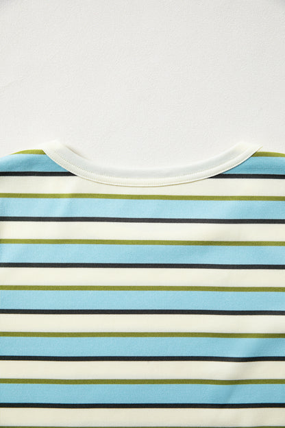 Multicolor Striped Long Sleeve Top – Casual Crew Neck Everyday Shirt