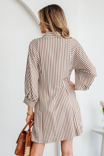 Neutral Taupe Striped Button Front Shirt Dress with Waist Tie