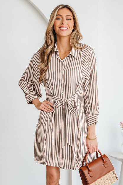 Neutral Taupe Striped Button Front Shirt Dress with Waist Tie