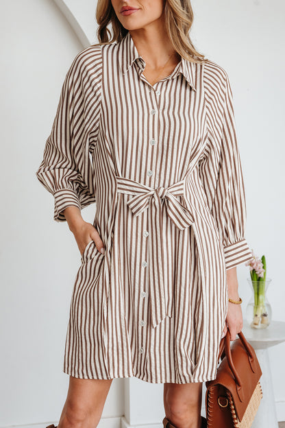 Neutral Taupe Striped Button Front Shirt Dress with Waist Tie