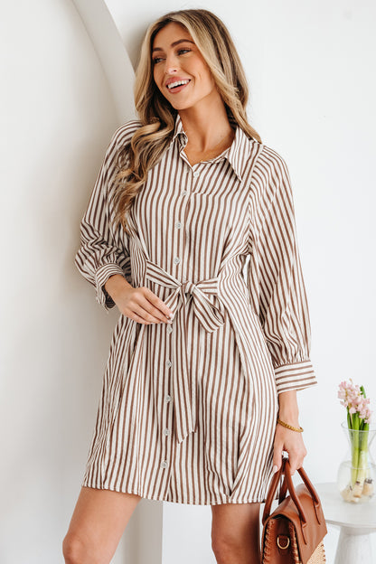 Neutral Taupe Striped Button Front Shirt Dress with Waist Tie