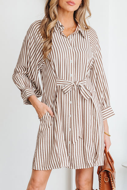Neutral Taupe Striped Button Front Shirt Dress with Waist Tie